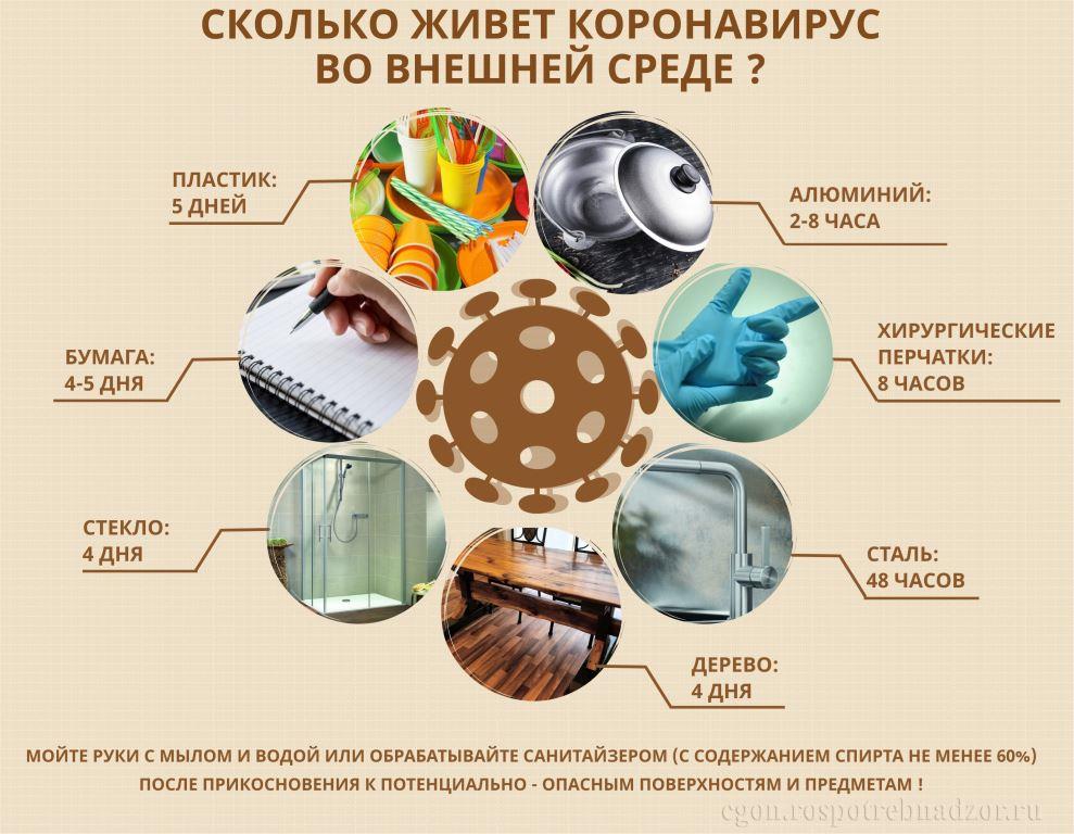 Сколько живет COVID во внешней среде