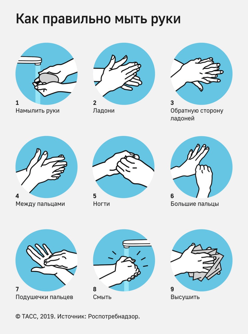wash hands