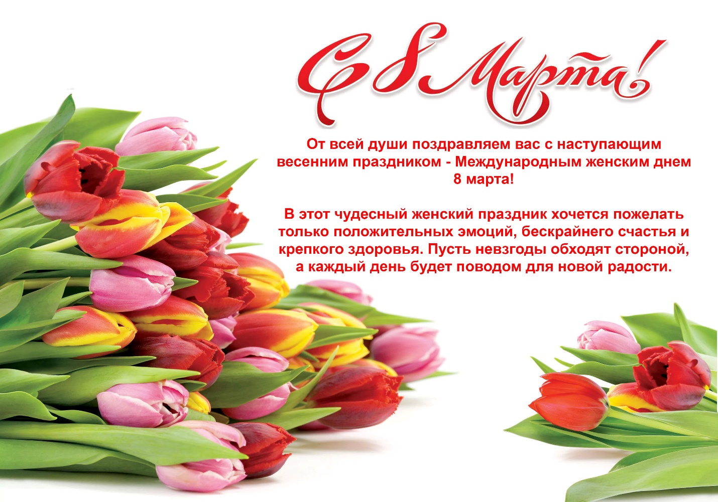 8march
