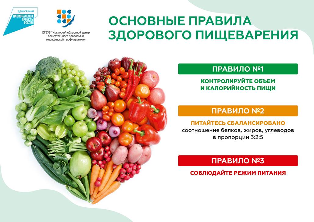 А2 Здоровое пищеварение плакат 1