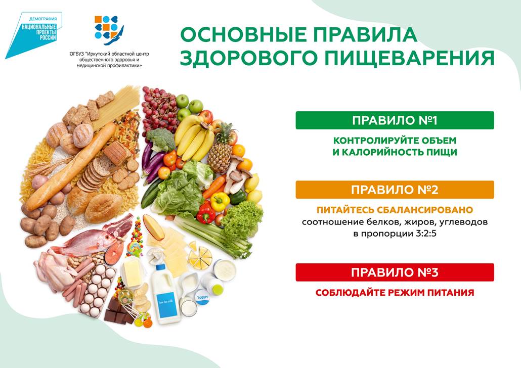 А2 Здоровое пищеварение плакат 2