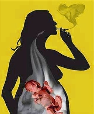 no smoking 181 3